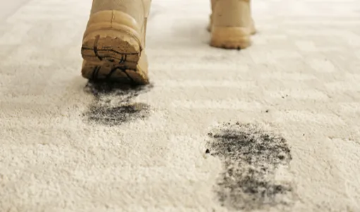 Carpet care | VRR Flooring