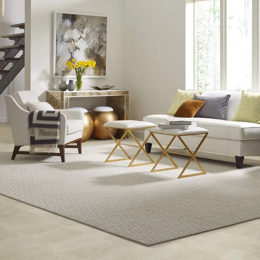 Area rug | VRR Flooring