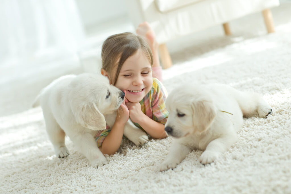 Carpet Flooring